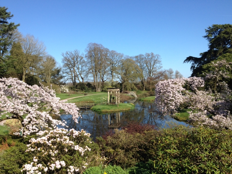 Cholmondeley Castle Gardens